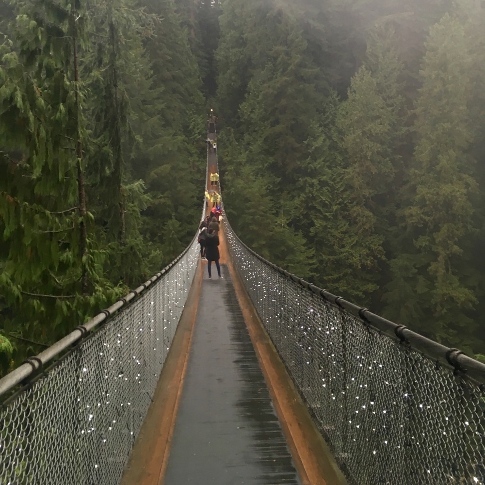 Meet your Posher, Shirelle